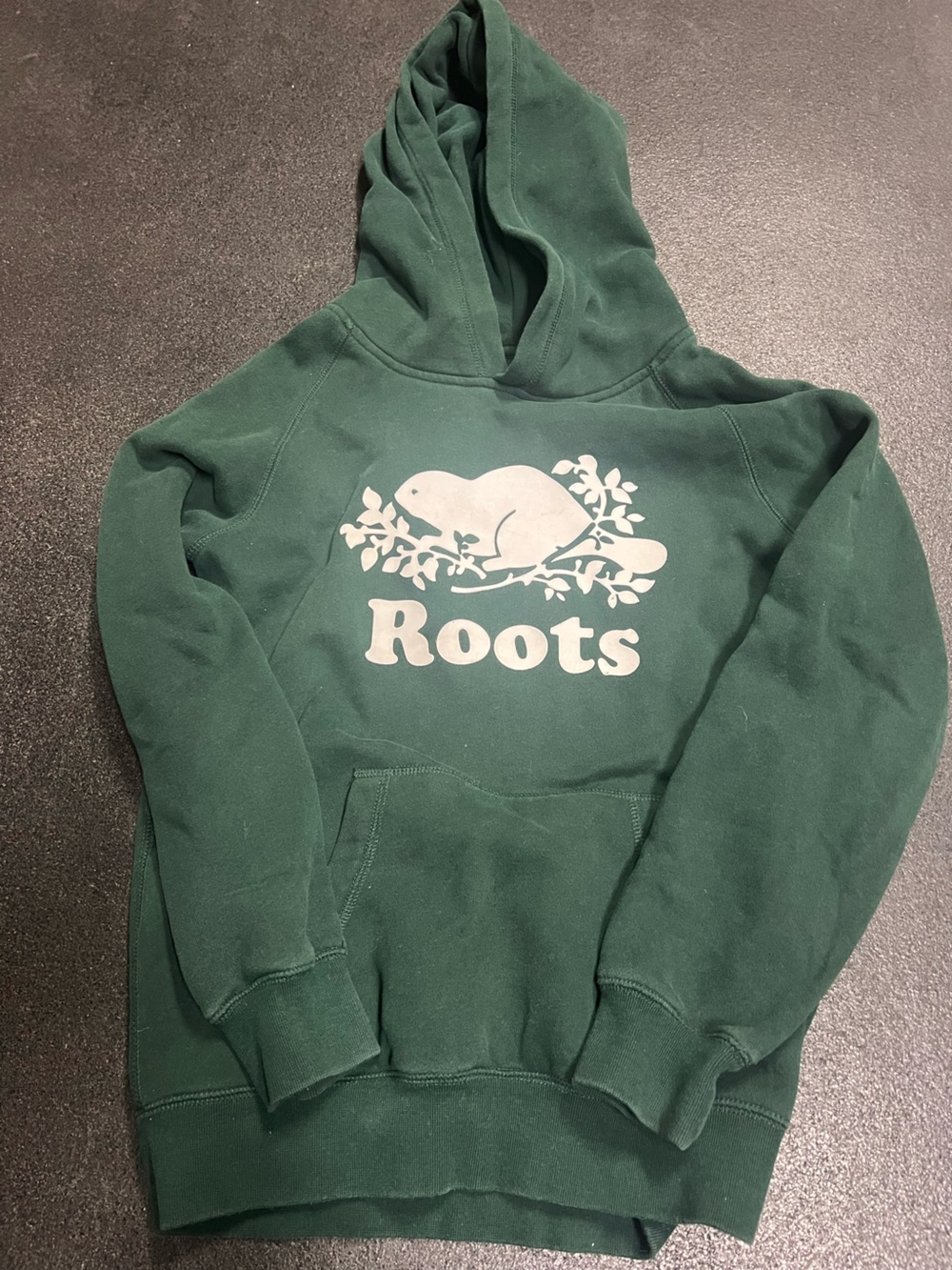 Roots kids’ pullover hoodie